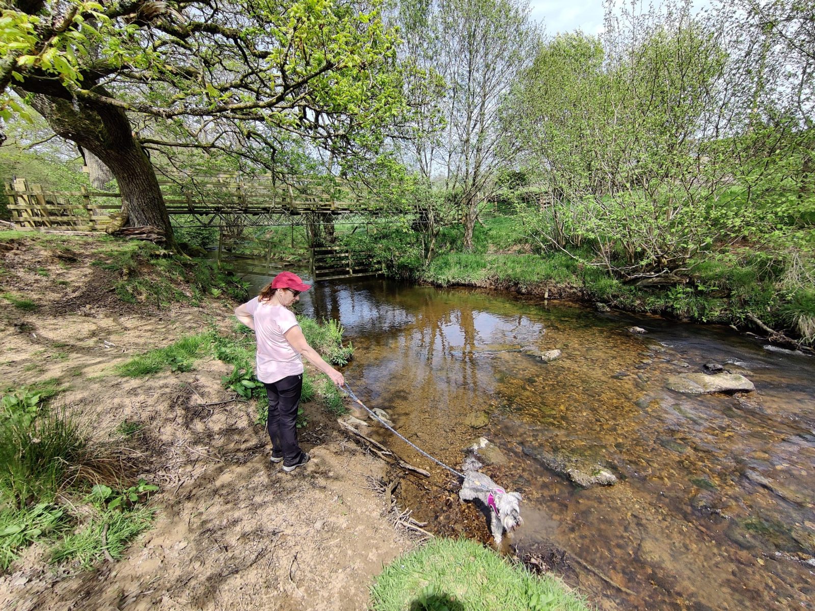 Roxy having a rare paddle