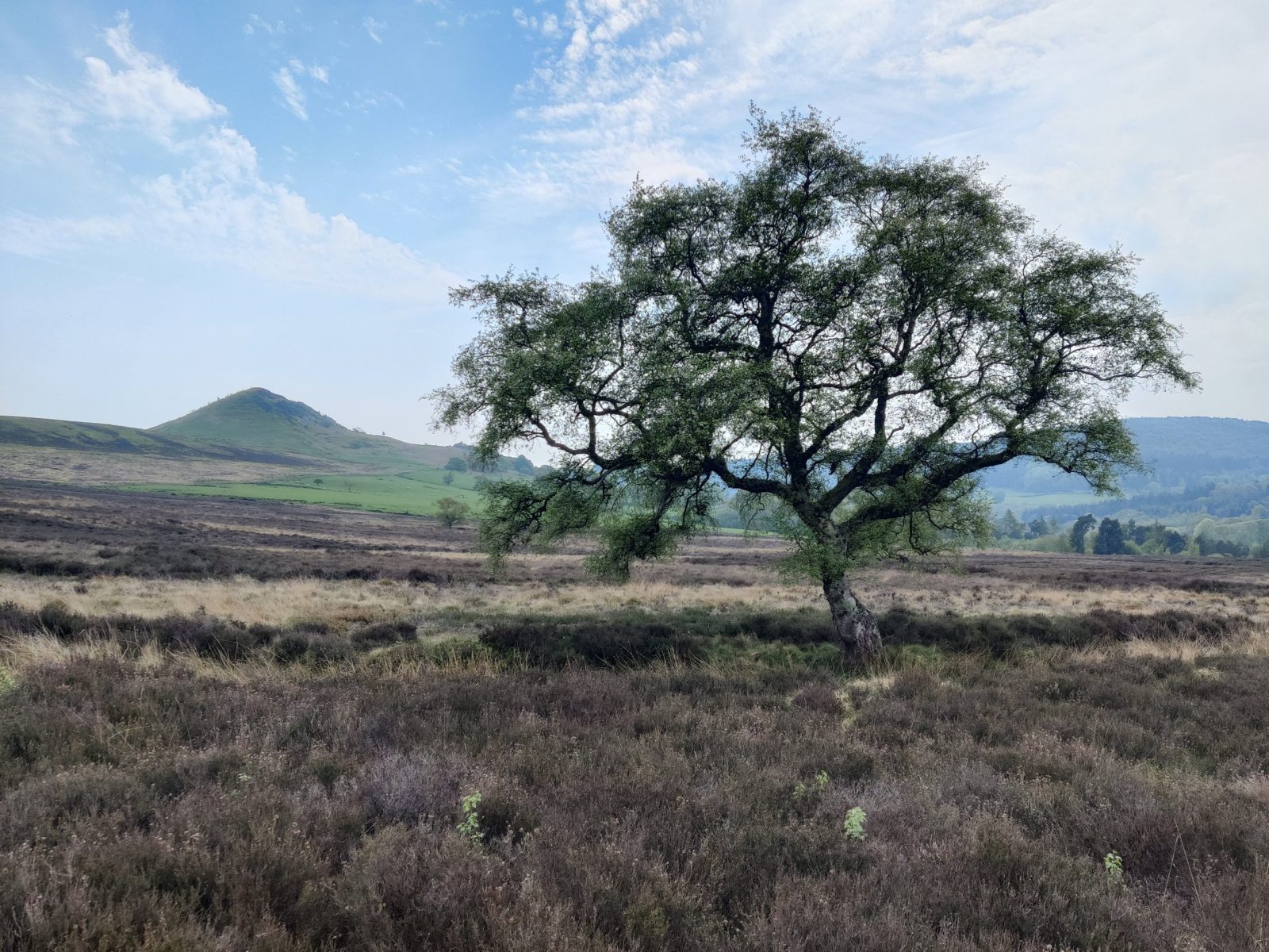 Towards Hawnby Hill