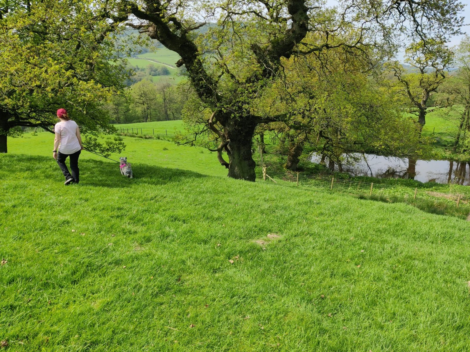 Head down past the ponds