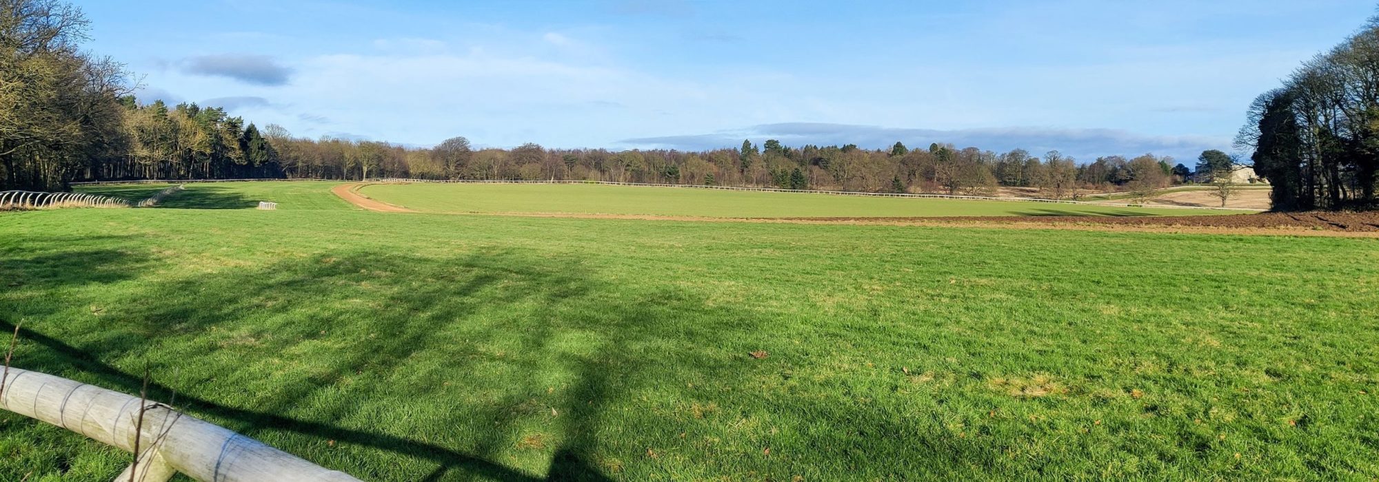 Crooked-Billet@Saxton-Gallops-1